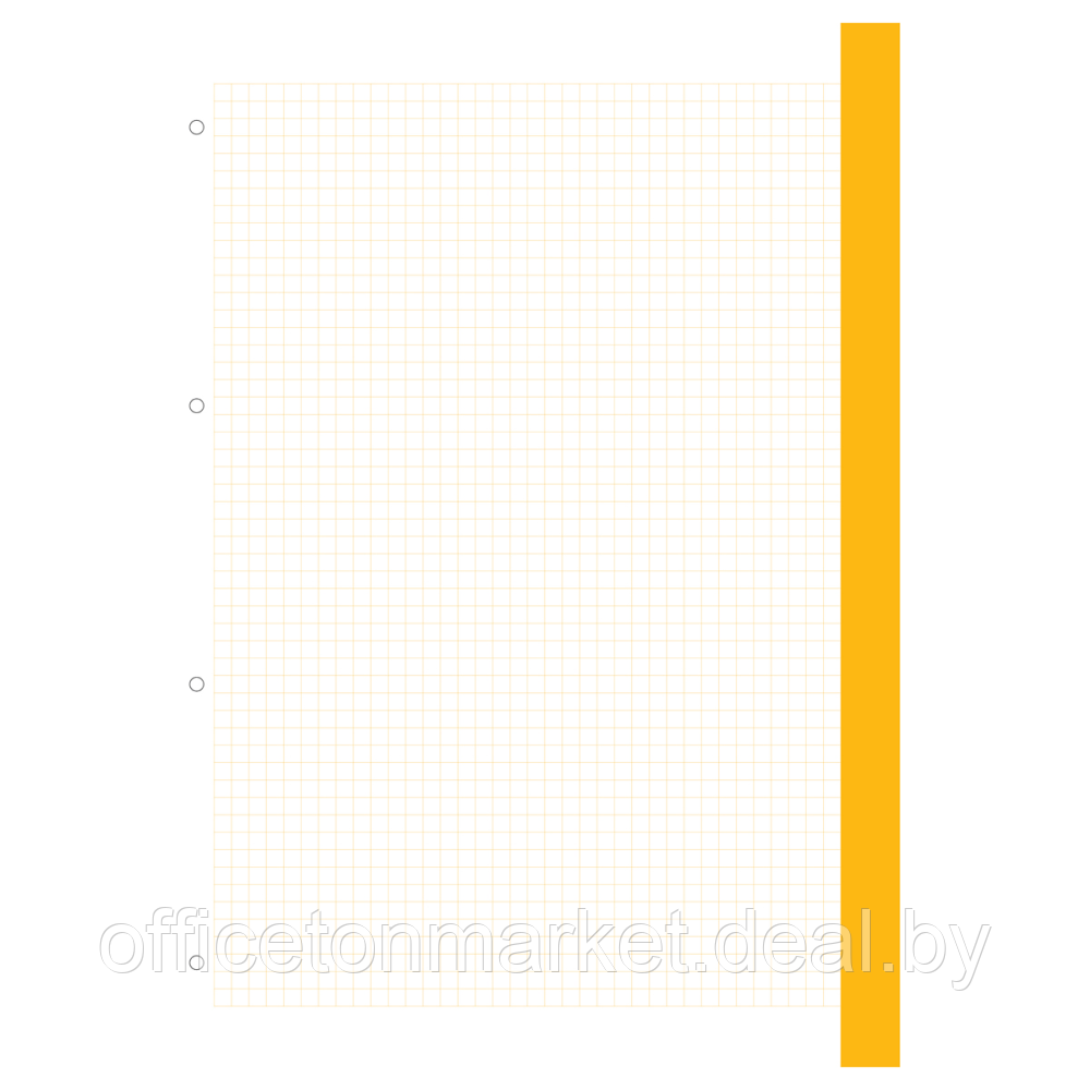 Сменный блок для тетради на кольцах "BG", A4, 120 листов, клетка - фото 3 - id-p223087300