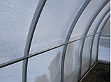 Теплица Сибирская труба 40х20 (цельная дуга) шаг 0.5 метра 6х3х2, фото 3