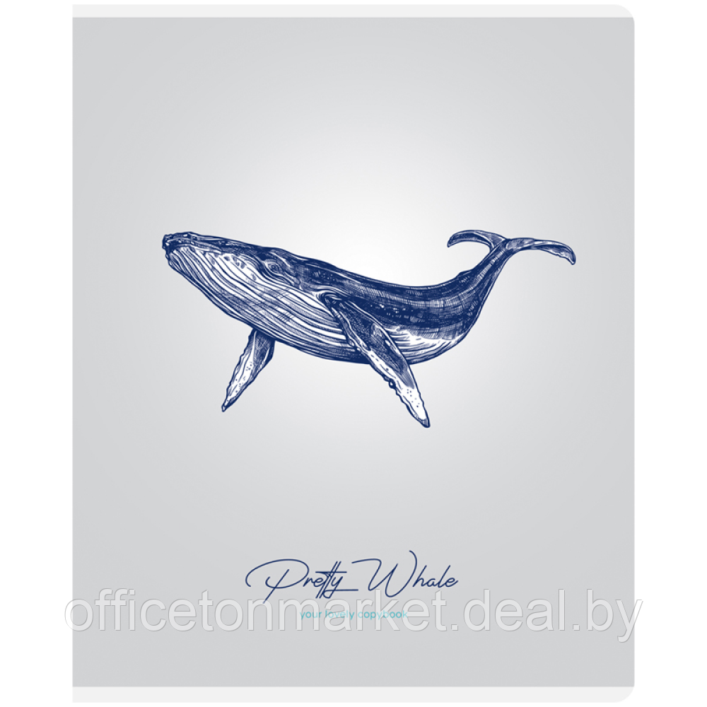 Тетрадь "Pretty whale", А5, 48 листов, клетка, ассорти - фото 3 - id-p223026590