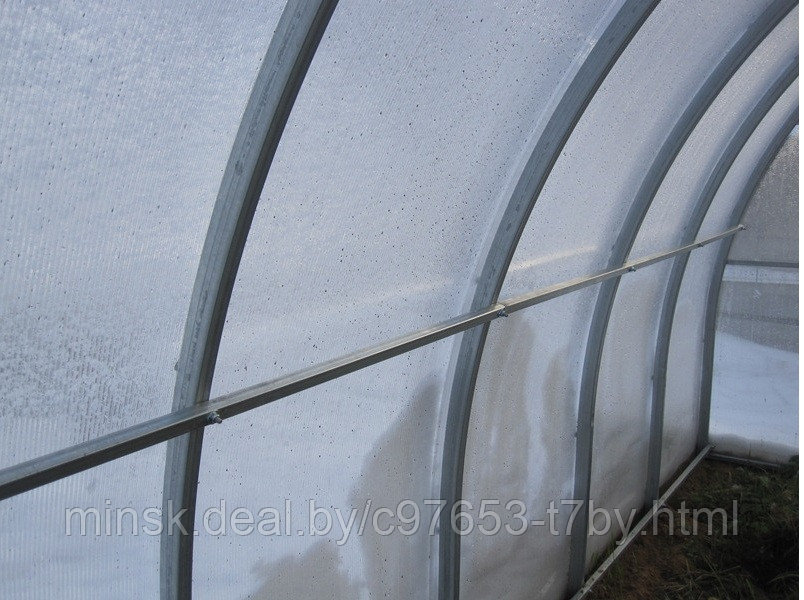 Теплица Сибирская труба 40х20 (цельная дуга) шаг 0.5 метра 8х3х2 - фото 3