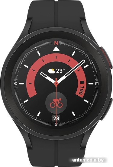 Умные часы Samsung Galaxy Watch 5 Pro 45 мм (черный титан) - фото 2 - id-p223111607
