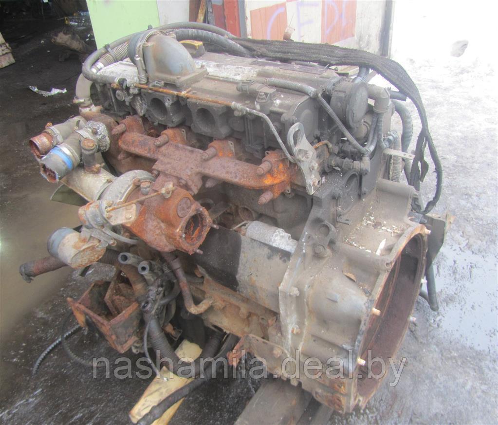 Двигатель МАЗ 4370 - фото 1 - id-p222104565