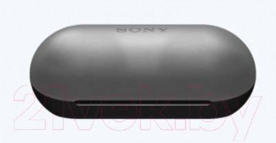 Беспроводные наушники Sony WF-C500 / WFC500B.E - фото 4 - id-p223128671