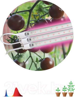 Лампа для растений ЭРА FITO-3х10W-LINE-RB90 / Б0050924 - фото 8 - id-p223136555