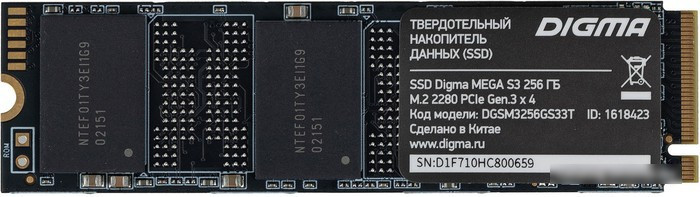 SSD Digma Mega S3 256GB DGSM3256GS33T - фото 1 - id-p223144119
