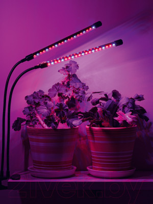 Светильник для растений ArtStyle TL-FC03S1B - фото 5 - id-p223141553