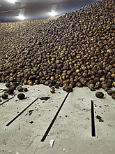 Навальное хранение картофеля Фри в овощехранилище монтаж проект под ключ