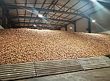 Навальное хранение картофеля Фри в овощехранилище монтаж проект под ключ, фото 2