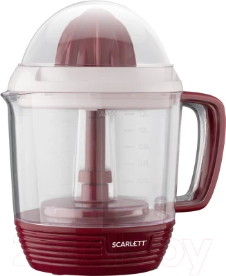 Соковыжималка электрическая Scarlett SC-JE50C08 - фото 1 - id-p223178900