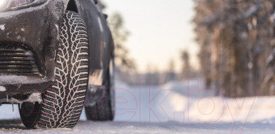 Зимняя шина Nokian Tyres WR D4 195/60R15 92H - фото 5 - id-p223179732