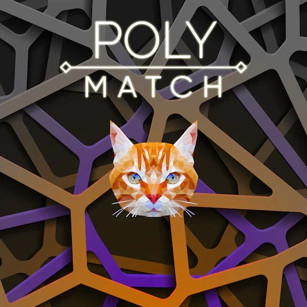 Poly Match PS, PS4, PS5 - фото 1 - id-p223188749