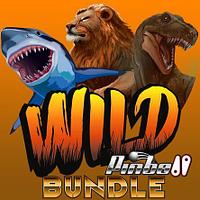Wild Pinball Bundle PS, PS4, PS5