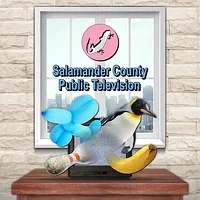 Salamander County Public Television PS4 & PS5