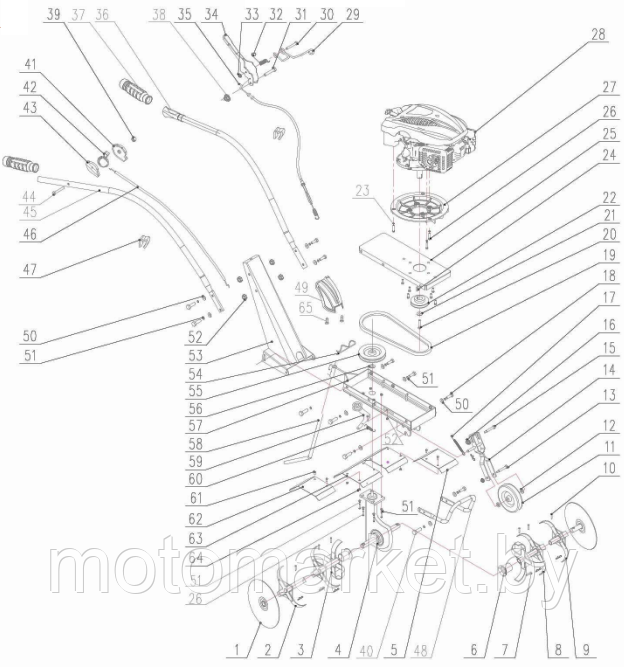 kultivatora FM 511 MX motomarket.by