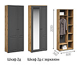 Шкаф 2Д (гл.36) Прихожая Лацио Сканди, фото 4