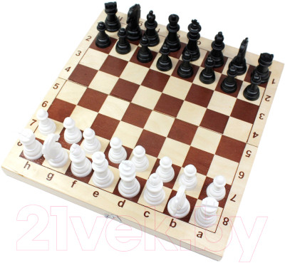 Шахматы Десятое королевство Пластмассовые в деревянной упаковке / 03878 - фото 1 - id-p223201480