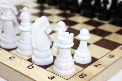 Шахматы Десятое королевство Пластмассовые в деревянной упаковке / 03878 - фото 2 - id-p223201480