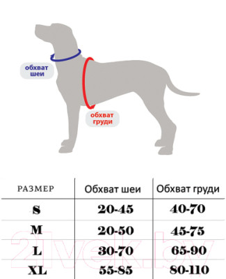 Ремень безопасности для собак Duvo Plus 121006/DV - фото 2 - id-p223196791