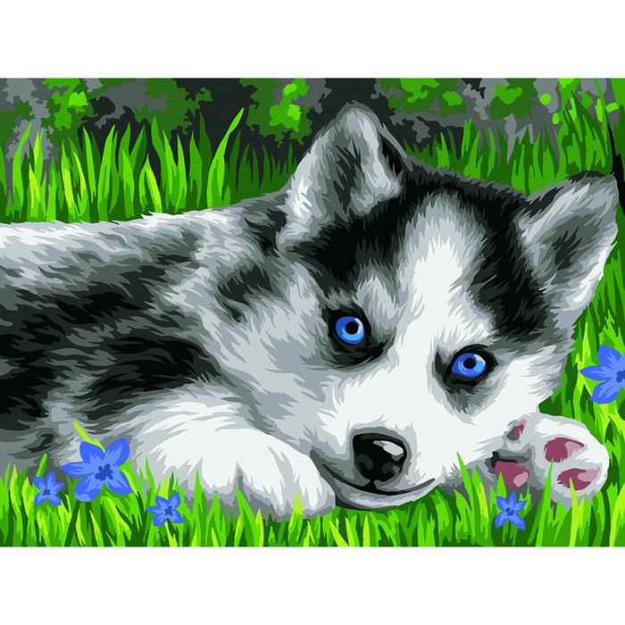 Картина по номерам на картоне 30 × 40 см «Голубоглазый пушистик», с акриловыми красками и кистями - фото 2 - id-p223214662