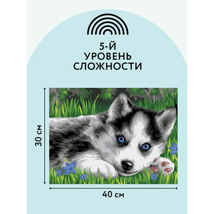 Картина по номерам на картоне 30 × 40 см «Голубоглазый пушистик», с акриловыми красками и кистями - фото 4 - id-p223214662