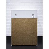 Шкаф навесной для ванной комнаты "Норма 02-50", фото 2