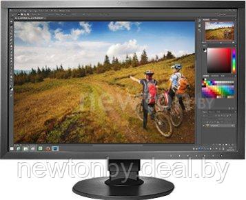 Монитор EIZO ColorEdge CS2420-BK