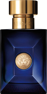 Туалетная вода Versace Dylan Blue Pour Homme - фото 1 - id-p223222848