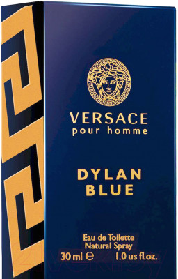 Туалетная вода Versace Dylan Blue Pour Homme - фото 2 - id-p223222848