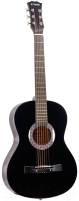 Акустическая гитара Terris TF-038 BK Starter Pack + комплект аксессуаров - фото 5 - id-p223233644