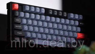 Клавиатура Keychron K8 Pro Black RGB Hot-Swap Brown Switch / K8P-J3-RU - фото 4 - id-p223224948