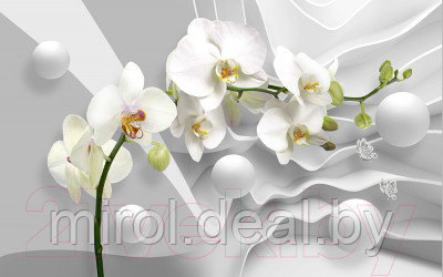 Фотообои листовые Vimala 3D Орхидея и шары - фото 1 - id-p223231808