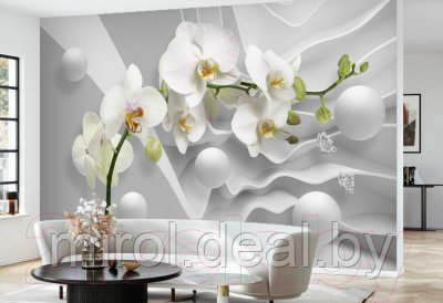 Фотообои листовые Vimala 3D Орхидея и шары - фото 2 - id-p223231808