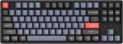 Клавиатура Keychron K8 Pro Black RGB Hot-Swap Brown Switch / K8P-J3-RU - фото 1 - id-p223235521