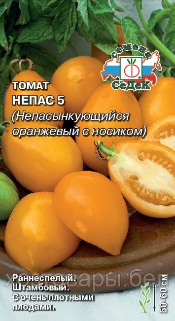 Томат Непасынкующийся Оранжевый с носиком 0,1г.(Седек) - фото 1 - id-p223244091