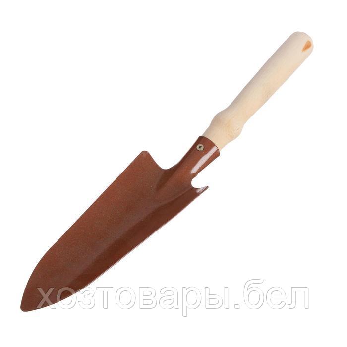 Совок посадочный 35см, удлинённый, деревянная ручка, цвет МИКС - фото 3 - id-p223244083