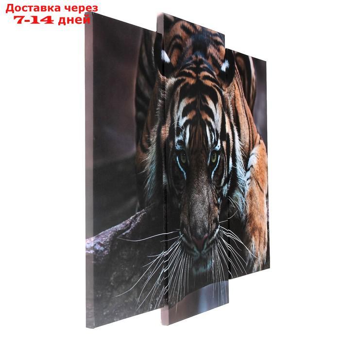 Модульная картина "Тигровый взгляд" (2-25х52; 1-30х60) 60х80 см - фото 2 - id-p222821386