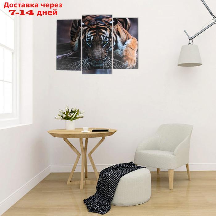 Модульная картина "Тигровый взгляд" (2-25х52; 1-30х60) 60х80 см - фото 4 - id-p222821386