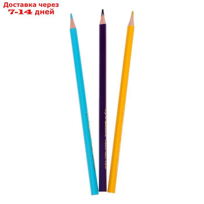 Цветные карандаши 24 цвета "Школа Творчества", трёхгранные - фото 4 - id-p222821677
