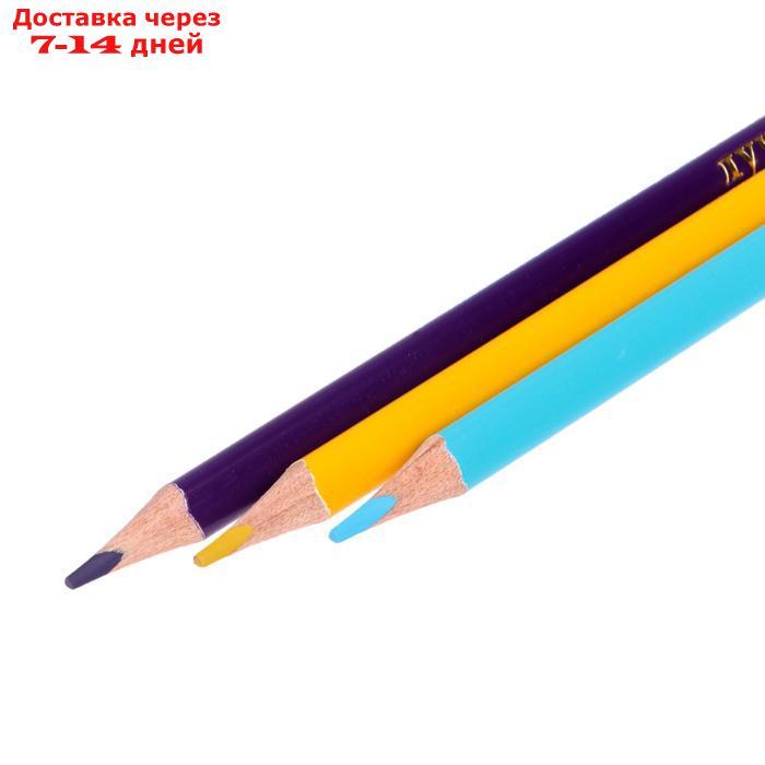 Цветные карандаши 24 цвета "Школа Творчества", трёхгранные - фото 5 - id-p222821677