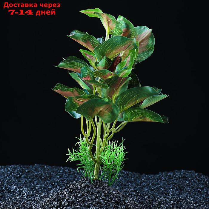 Растение аквариумное "в горшочке", 31 х 23 х 19 см - фото 1 - id-p222846738