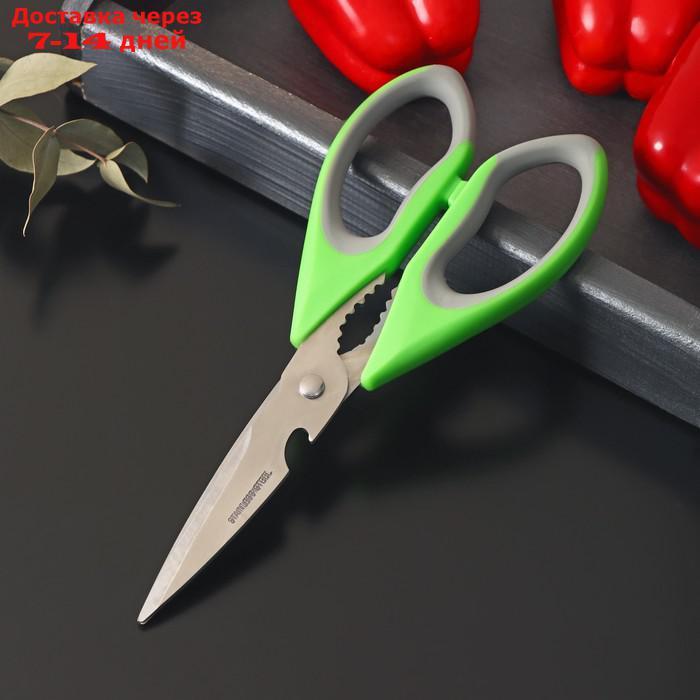 Ножницы кухонные Доляна "Гари", 22 см, цвет МИКС - фото 1 - id-p222843175