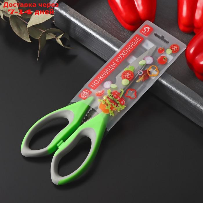 Ножницы кухонные Доляна "Гари", 22 см, цвет МИКС - фото 4 - id-p222843175