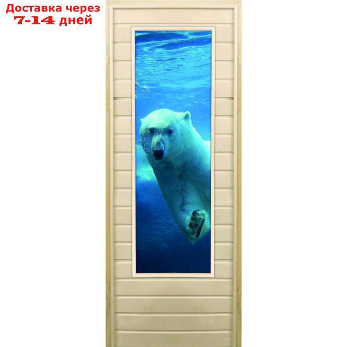 Дверь для бани со стеклом (43*129), "Белый медведь", 170×70см, коробка из осины - фото 1 - id-p222843427