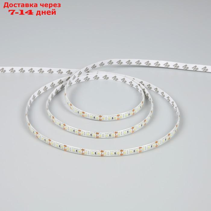 Светодиодная лента Apeyron 12В, SMD2835, 5 м, IP65, ЭКО, 9.6Вт/м, 120 LED/м, 440Лм/м, БЕЛЫЙ 732843 - фото 2 - id-p223163717