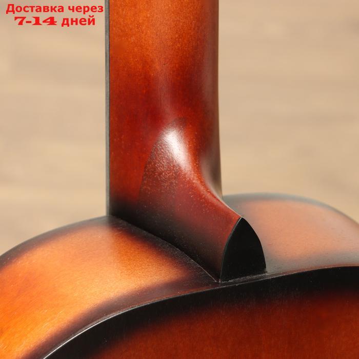 Гитара классическая "Амистар Н-30" 6-струнная, глянцевая, тёмная, цвет МИКС - фото 6 - id-p222843623