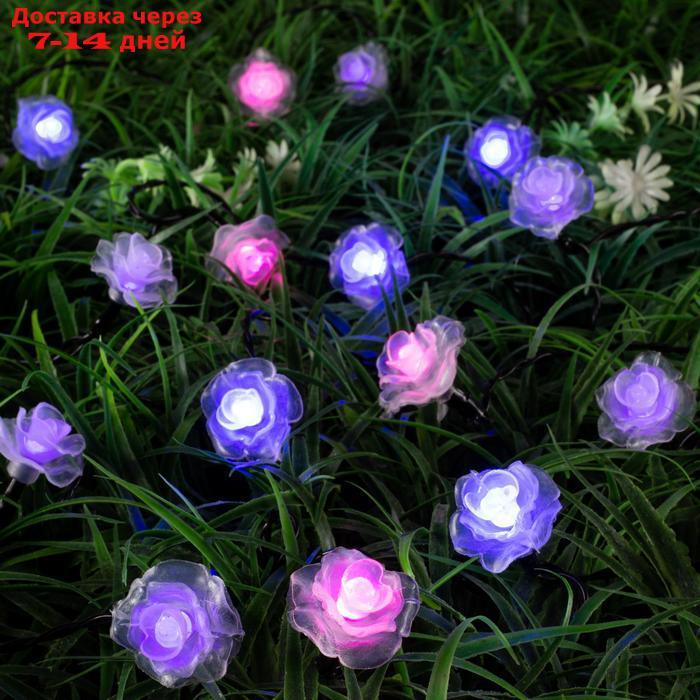 Гирлянда "Нить" 4.5 м с насадками "Розы", IP44, тёмная нить, 30 LED, свечение синее/фиолетовое/розовое, 2 - фото 4 - id-p223162888