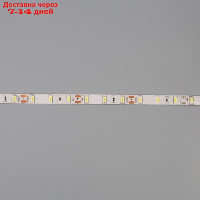 Светодиодная лента Ecola PRO, 12В, SMD5050, 5 м, IP65, 19Вт/м, 60 LED/м, 6000К - фото 5 - id-p223163917