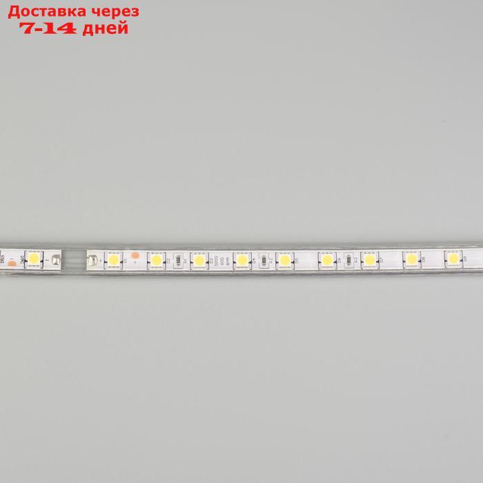 Светодиодная лента Ecola STD, 220В, SMD5050, 100 м, IP68, 14.4Вт/м, 60 LED/м, 6000К - фото 5 - id-p223163919