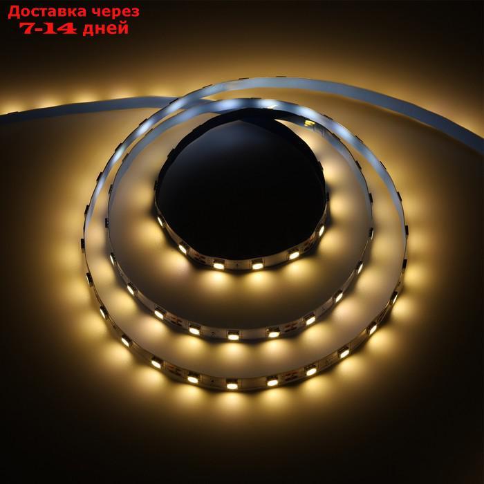 Светодиодная лента Ecola LED strip STD, 10 мм, 12 В, 2800К, 14,4 Вт, 60Led/m, IP20, 5 м - фото 1 - id-p223153794
