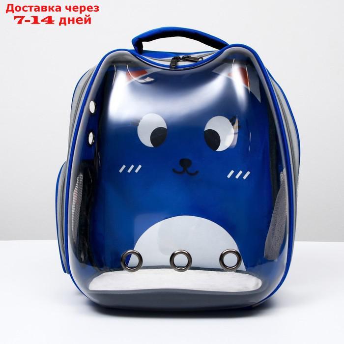 Рюкзак для переноски животных "Котик", прозрачный, 34 х 25 х 40 см, синий - фото 1 - id-p222846656